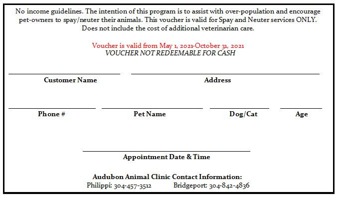 spay certificate template